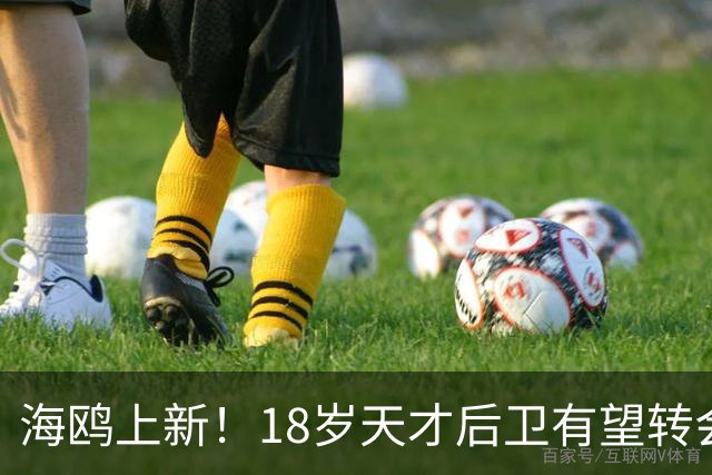 海鸥上新！18岁天才后卫有望转会英格兰，天赋顶级布莱顿要买