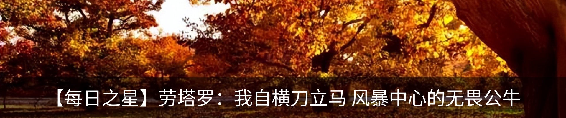 行业资讯