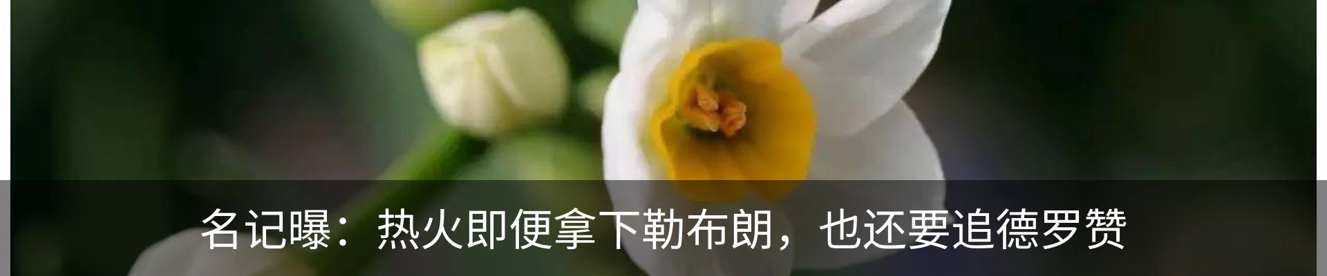 行业资讯