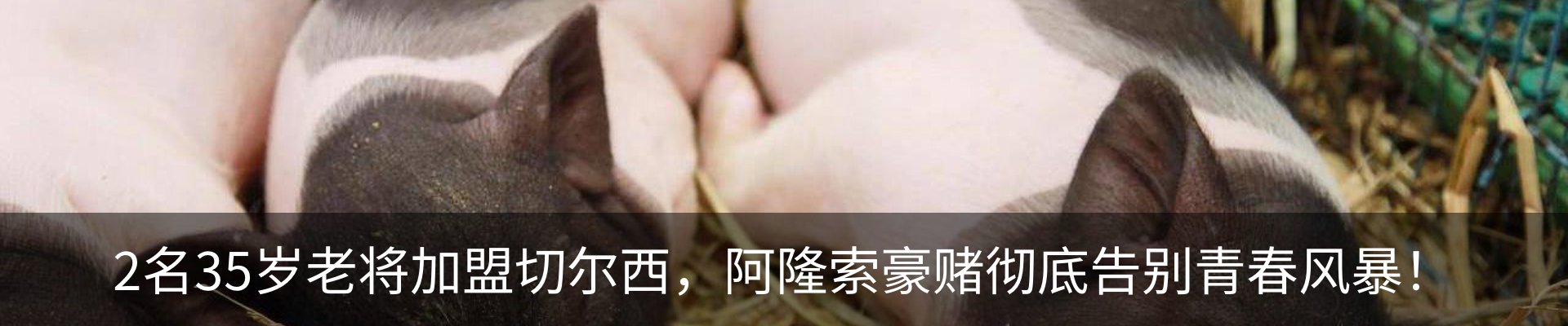 行业资讯