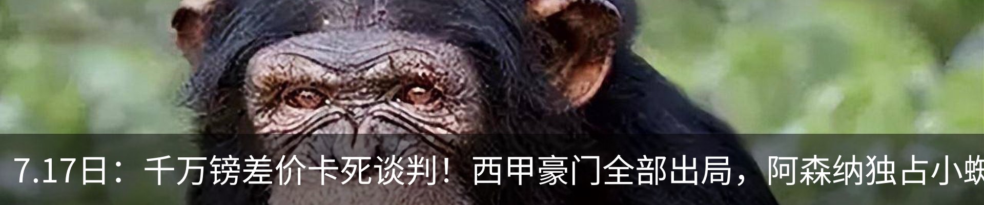 行业资讯
