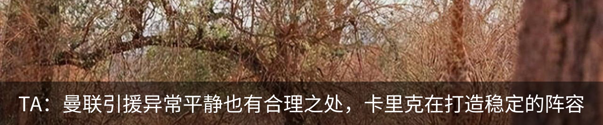 行业资讯
