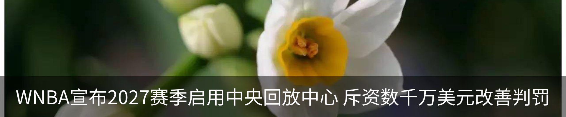 行业资讯